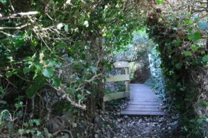 Der Zöllnerpfad - le sentier des douaniers