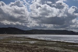 Plage de Saint Michel-en-Grève