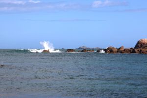 Trégastel - Plage de l'île Renote