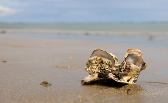 An der Plage du Corps du Garde